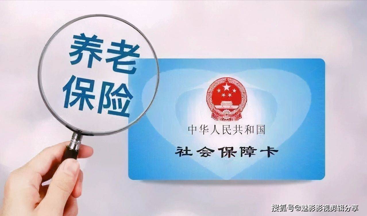 揭秘王中王一期一肖特中獎(jiǎng)背后的秘密，王中王一期一肖特中獎(jiǎng)背后的秘密揭秘