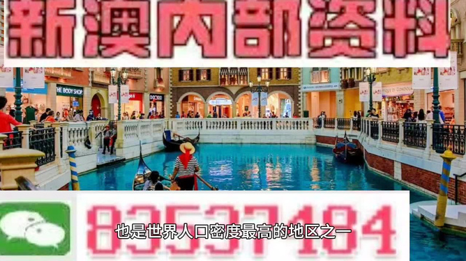 澳門王中王六碼新澳門，探索與解析，澳門王中王六碼新澳門，深度探索與解析