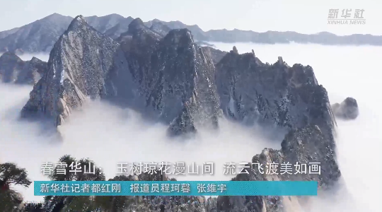 澳門最精準(zhǔn)龍門，探索真正的精準(zhǔn)之道，澳門最精準(zhǔn)龍門，揭秘真正的精準(zhǔn)之道