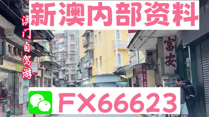 新澳精準(zhǔn)資料免費提供，探索與利用資源助力成功，新澳精準(zhǔn)資料免費分享，助力成功探索與利用資源