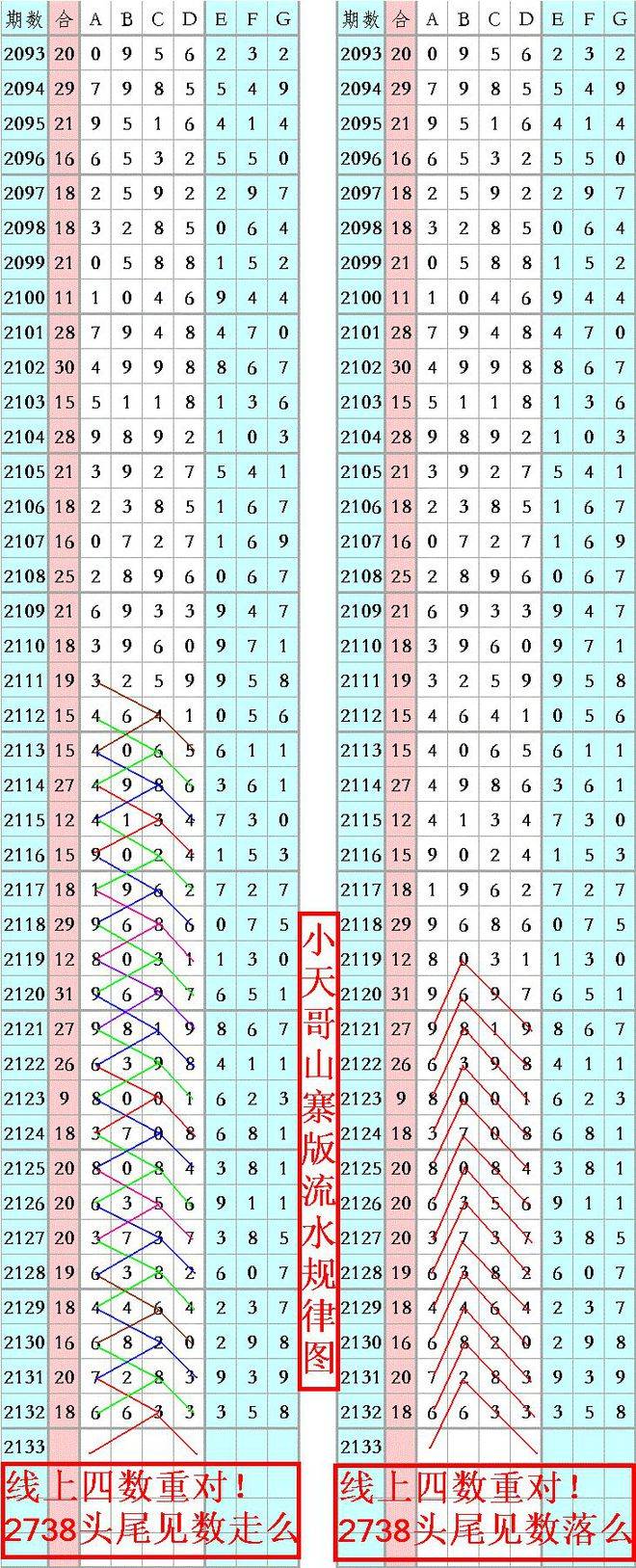 王中王資料一肖正特馬，深度解析與探索，王中王資料一肖正特馬深度解析與探索揭秘