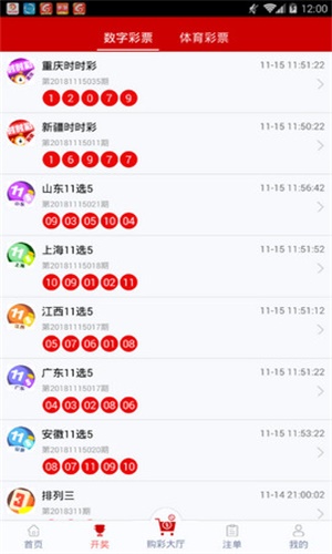 一碼一肖，揭秘背后的秘密與探索其獨(dú)特魅力，揭秘一碼一肖背后的秘密與獨(dú)特魅力探索