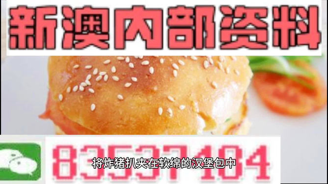 2025新澳正版資料精準(zhǔn)解析，2025新澳正版資料精準(zhǔn)解析手冊(cè)