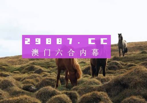 澳門六開獎結果2023開獎記錄查詢網(wǎng)站——全面解析與最新資訊，澳門六開獎結果最新解析與資訊，全面查詢2023年開獎記錄