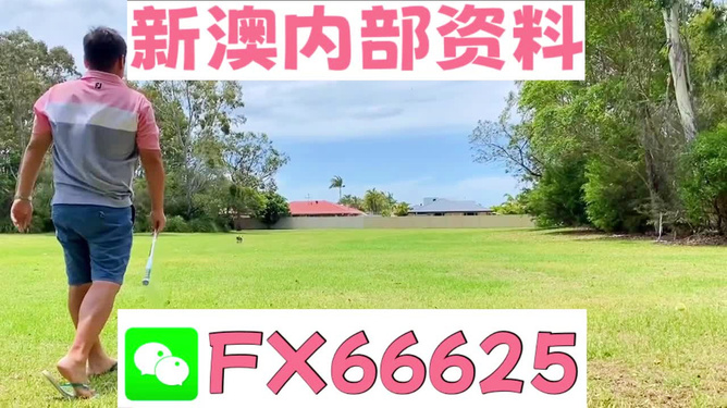 王中王一碼二肖，揭秘背后的秘密，揭秘王中王一碼二肖背后的秘密