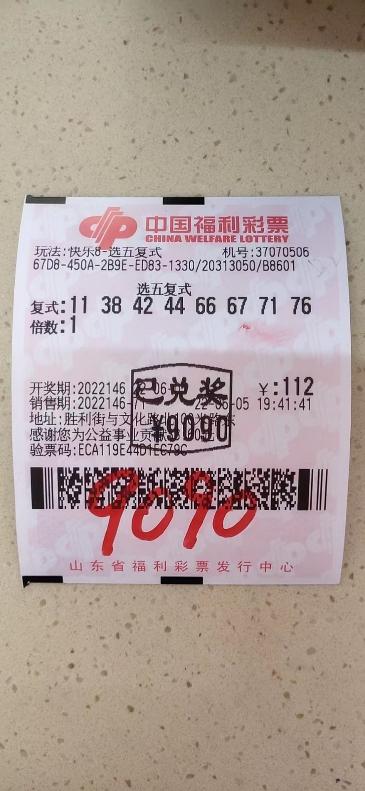 揭秘002期王中王平特一肖，背后的故事與奧秘，揭秘王中王平特一肖背后的故事與奧秘（第002期）