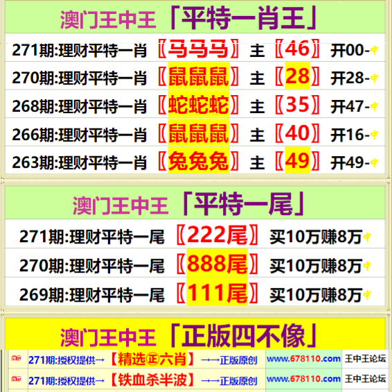 王中王四肖中特一期期誰，深度解析與探索，王中王四肖中特一期深度解析與探索