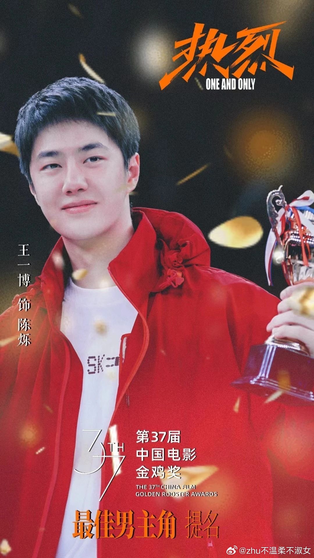王中王一肖一特一中一中，探尋背后的故事與奧秘，探尋王中王一肖背后的故事與奧秘