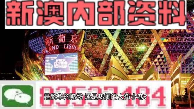 新澳門精準(zhǔn)資料大全管家婆料，探索與解析，澳門精準(zhǔn)資料大全解析，探索管家婆料內(nèi)幕