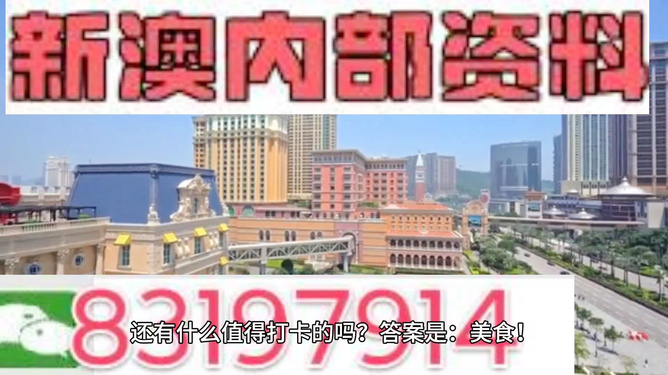 澳門彩天天免費精準資料，探索與解析，澳門彩天天免費精準資料解析與探索