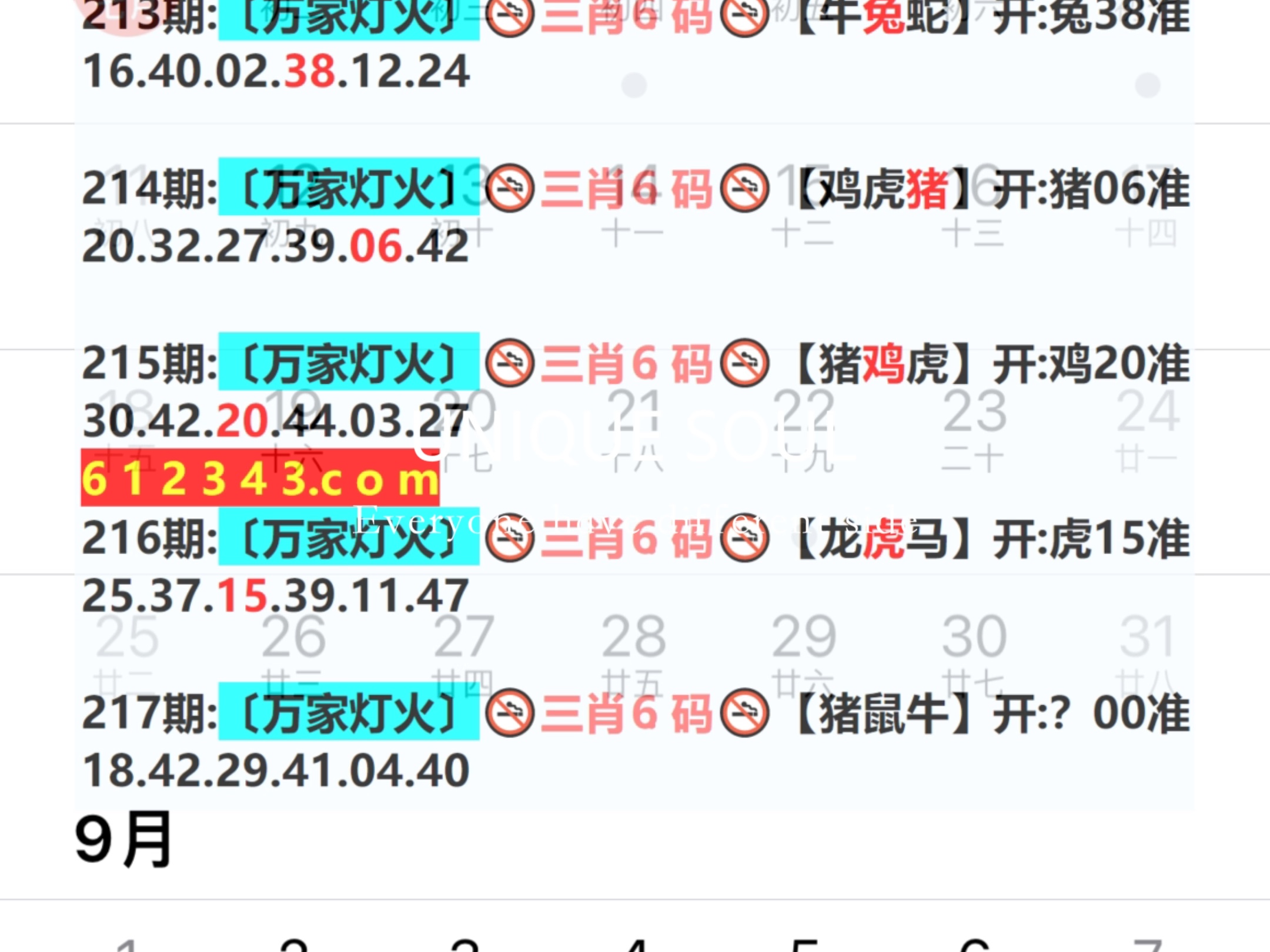 新奧今日六肖中特