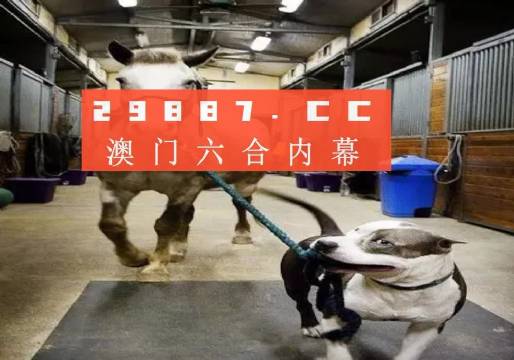 澳門一肖一碼一必中一肖，同舟前進的奧秘與策略，澳門一肖一碼必中策略與前進奧秘，同舟共濟的揭秘與策略