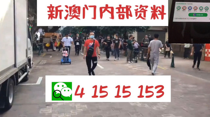 澳門管家婆一馬一中一開，揭秘背后的秘密與策略，澳門管家婆一馬一中一開，揭秘背后的秘密與策略揭秘背后的秘密與策略