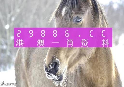 澳門一肖一碼，揭秘一個關于精準預測背后的故事，澳門一肖一碼揭秘，精準預測背后的神秘故事