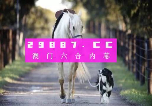 澳門彩的奧秘世界與SEO優(yōu)化策略探討 —— www.04812com的獨家解析，澳門彩奧秘與SEO優(yōu)化策略獨家解析，www.04812com深度探討