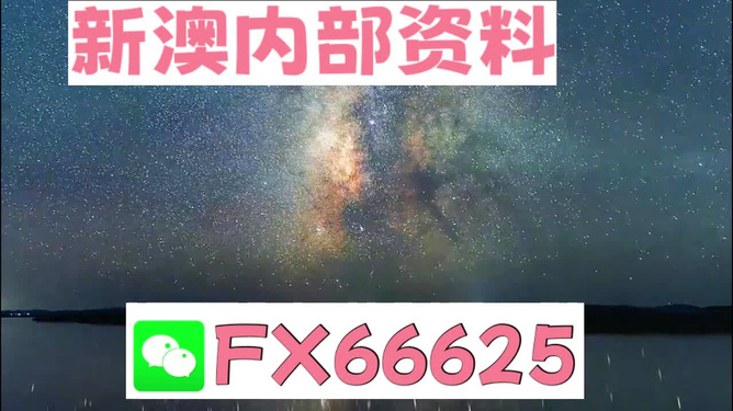 新澳天天彩開獎資料大全正版，全面解析與實用指南，新澳天天彩開獎資料正版解析與實用指南
