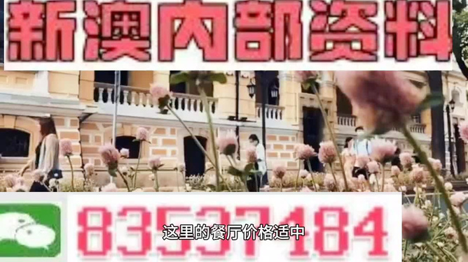 新澳門，探索最精準、最快的信息更新速度，新澳門，追求最快速、精準的信息更新之道