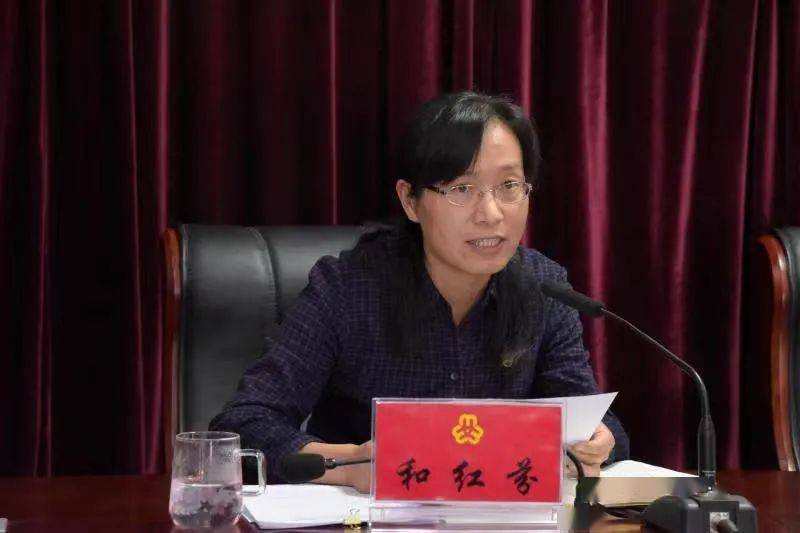 二四六香港期期中的資料解析與SEO優(yōu)化策略，香港期期二四六資料解析與SEO優(yōu)化策略探討