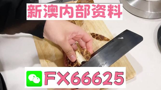 澳門(mén)九點(diǎn)半9點(diǎn)半網(wǎng)站——探索其魅力與優(yōu)勢(shì)，澳門(mén)九點(diǎn)半網(wǎng)站，魅力與優(yōu)勢(shì)探索