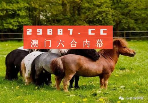 一馬中特內(nèi)部精準(zhǔn)資料免費(fèi)大公開(kāi)，揭秘行業(yè)秘密，助力個(gè)人成長(zhǎng)，揭秘行業(yè)秘密，一馬中特內(nèi)部精準(zhǔn)資料大公開(kāi)，助力個(gè)人成長(zhǎng)免費(fèi)獲取