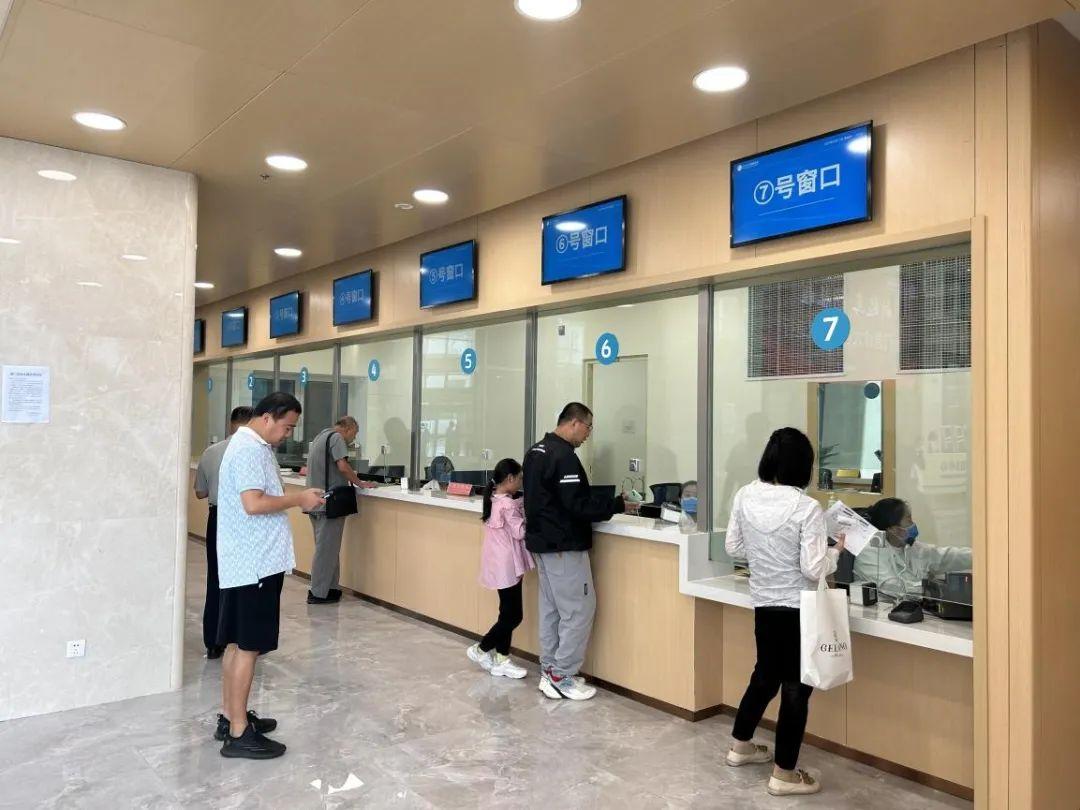 新門內(nèi)部資料免費(fèi)下載——探索與揭秘，新門內(nèi)部資料揭秘，免費(fèi)下載與探索之旅
