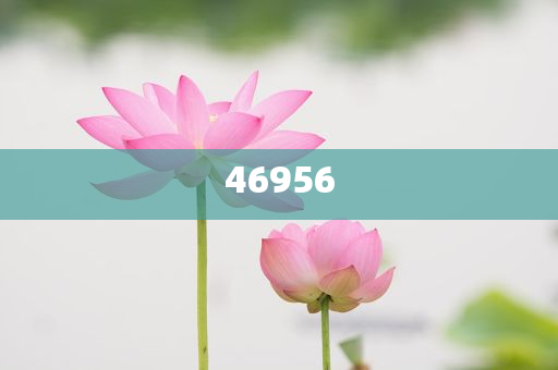 新奧集團，邁向2025，天天開好彩的愿景與挑戰(zhàn)，新奧集團邁向2025，實現(xiàn)天天開好彩的愿景與挑戰(zhàn)